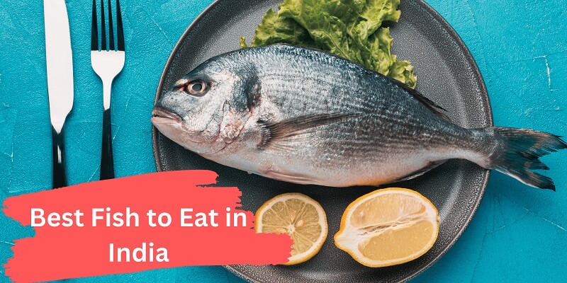 From Gut Health to Weight Loss: Discover the Best Fish to Eat in India